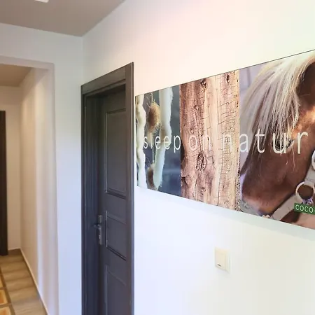 Lejlighed Irini Patira